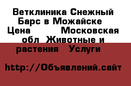 Ветклиника Снежный Барс в Можайске › Цена ­ 300 - Московская обл. Животные и растения » Услуги   